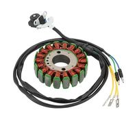 WOOSTAR 18 Bobines 5 Fils Magnéto Stator Remplacement pour Loncin LC172MM/170MM CB CBD 250cc Moteur Mikilon BSE Jinling 250cc ATV XMOTO OEM JLA-21B-077 JLA-21B JLA-923E