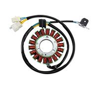 WOOSTAR 18 Bobines 6 Fils Magnéto Stator Remplacement pour Suzuki 1982-2001 GN250 1997-2016 TU250 OEM 32101-38302