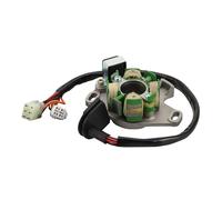 WOOSTAR 6 Bobines 10 Fils Magnéto Stator Remplacement pour RM 250 RM250 1996-2000 OEM 32101-37E00 32101-37E10 32101-37E20 32101-37E30 32101-37E40