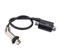 WOOSTAR Bobine D’allumage Remplacement pour GY6 Moteur 169cc 170cc EFI Jonway GTX 250 EFI 200