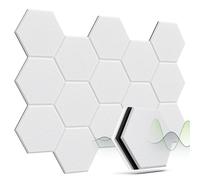 Woovio Panneau Acoustique 12 Pack Anti Bruit Panneau Acoustiques Auto-adhésif Isolant Phonique Haute Densité Isolation Phonique Porte Podcasts Studio, Jeux Salle, 30 * 26 * 1cm