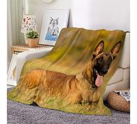 Woowin Couverture Polaire Enfant Malinois Belge 3D ete Flanelle Plaid Couverture 130x150 Animal Douce Chaude Moelleuse Couverture de Lit 1 Personne en Microfibre pour Adultes Fille Garcon Ado