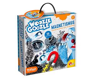 WOOZLE GOOZLE MAGNETISMUS Kit d'expérimentation pour débutants et Enfants à partir de 8 Ans