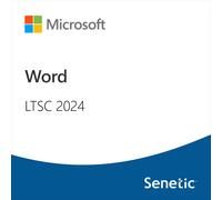Word LTSC 2024