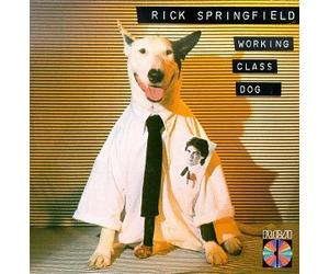 Working Class Dog
