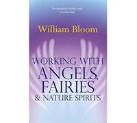 Working With Angels, Fairies, and Nature Spirits William Bloom (Auteur)