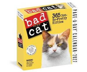 Workman Calenda Bad Cat Page-A-Day® Calendar 2027: 365 Not-So-Pretty Kit (Poche)