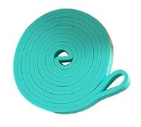 Workout Bands - 81,89 x 0,24 x 0,18 pouces, élastique Strength Training Strength, Lightweight | Workout Companion, Pull-Up Elastic Bands for Exercise | For Muscle Recovery Arm Shoulder Chest Back Leg