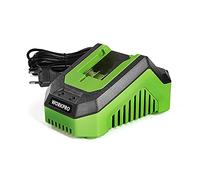 WORKPRO Chargeur 20V pour Batterie 2,0A et 4,0A Compatible Uniquement avec WORKPRO Batteries