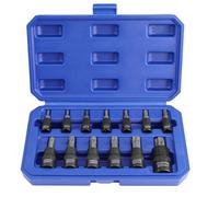 WORKPRO Jeu de Douilles Torx 13 Pièces, Embouts T8-T60 en Acier S2 et Douilles en Acier Chrome Vanadium 1/4", 3/8" et 1/2", avec Boîte de Rangement