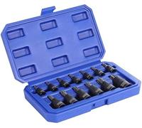 WORKPRO Jeu de Douilles Torx 13 Pièces, Embouts T8-T60 en Acier S2 et Douilles en Acier Chrome Vanadium 1/4", 3/8" et 1/2", avec Boîte de Rangement