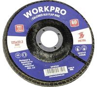WorkPro WP407522 Disque à surfacer à lamelles Diamètre 125 mm Ø de perçage 22.2 mm 10 pc(s)