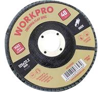 WorkPro WP407555 Disque à surfacer à lamelles Diamètre 125 mm Ø de perçage 22.2 mm 10 pc(s)
