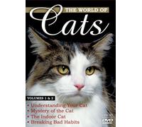 World of Cats