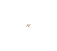 World of Nature: Wild Life - Ourson polaire marchant - blanc