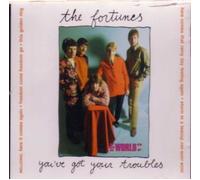 World of The Fortunes: You've Got Your Troubles [Import]