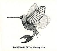 World of The Waking State