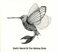 World of The Waking State