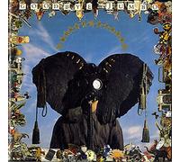 World Party - Goodbye Jumbo [Import]