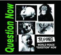 World Peace'question'now [Import allemand]
