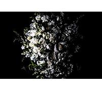 WORLD`S END GIRLFRIEND - Meguri