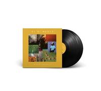 Al Di Meola – World Sinfonia – Vinyle 2LP 180g Gatefold