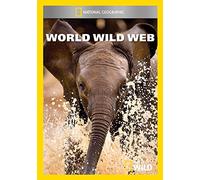World Wild Web