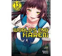 Worlds End Harem Vol. 13 After World by Link Link (Auteur)