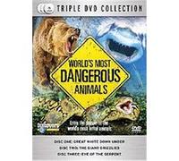 World's Most Dangerous Animals [Import]