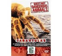 World's Most Dangerous Animals - Tarantulas G