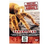 Worlds Most Dangerous Animals - Worlds Most Dangerous Animals - Tarantulas [Import anglais]