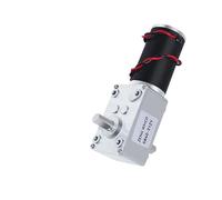 Worm Gear Reduction DC electronic starter 5840-31zy Double Short Output Shaft With Self-Locking Full Metal Gear 260RPM_12V