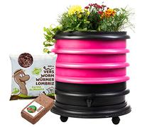 WORMbox | Lombricomposteur 3 Plateaux Fushia + Jardinière + 250gr de vers de Compost + 1 Bloc Coco | 48 litres | Compostez Vos déchets organiques, Les vers de Terre/lombrics/lombricompost