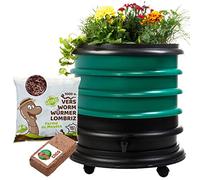 WORMbox | Lombricomposteur 3 Plateaux Vert Foncé + Jardinière + 500gr de vers de Compost + 1 Bloc Coco | 48 litres | Compostez Vos déchets organiques, Les vers de Terre/lombrics/lombricompost
