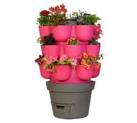 Wormgarden fuchsia 3 jardinières