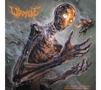 Wormhole Almost Human – Vinyle – The Orchard