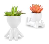 WoRuyKot Paquet de 2 Plantes de Cactus Succulentes Plantes Grasses en Céramique Noire, Petites Fleurs Bonsaï Artificielles Mignonnes en Pot pour la Décoration du Bureau et du Salon (Blanc 1)