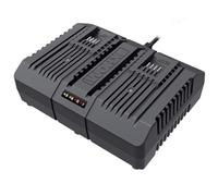 WORX Chargeur Double 20V WA3883, 2A, Chargez 2 Batteries Simultanément, Léger et Compact, Compatible Avec Toutes les Batteries Worx Powershare