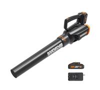 WORX Souffleur sans Fil 20V WG547E.9