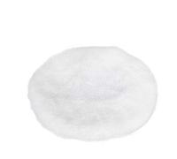 WORX WA4250 Couvercle de polissage pour voiture WX856