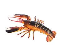 WOTEG Homard Boston | Modèle d'émulation Homard Boston,Le Homard améliore l'intérêt d'apprentissage des Animaux Marins décor Vacances Nautiques Jouets Bain pour Les