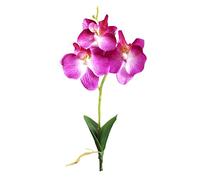 WOTEG Phalaenopsis artificielle - petite fleur de simulation de phalaenopsis - Orchidées artificielles - Plantes à tige pour la décoration de la maison - Branche de phalaenopsis artificielle au