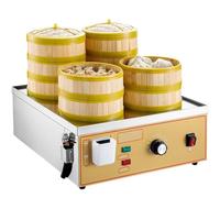 WOTZOV Cuiseur Vapeur électrique Professionnel, Acier Inoxydable, 48 x 45 x 19 cm, 3 000 W, Grande Surface de Cuisson, Alimentation en Eau indépendante, Dispositif Anti-dessèche