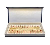 WOTZOV Modèle pédagogique d'étude des Dents dentaires - 28 pièces, modèle de dent permanente Bicolore - Simulation de dent buccale pour l'étude et l'analyse.，2X Magnification