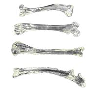 WOTZOV Modèles d'os de Chien en Cristal Transparent, 15 cm, Lot de 4 : fémur, péroné, Radius et humérus. Idéal pour la décoration et l'éducation en Cabinet vétérinaire，Clear 15CM