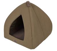 Wouapy Chat Igloo Guest