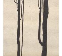 Wound & The Bow