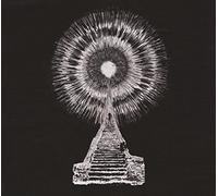 Wounded Kings,the - Visions in Bone