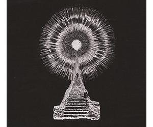 Wounded Kings,the - Visions in Bone