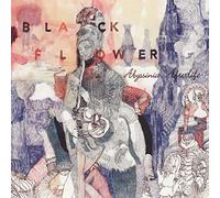 Wouter Haest - Abyssinia Afterlife